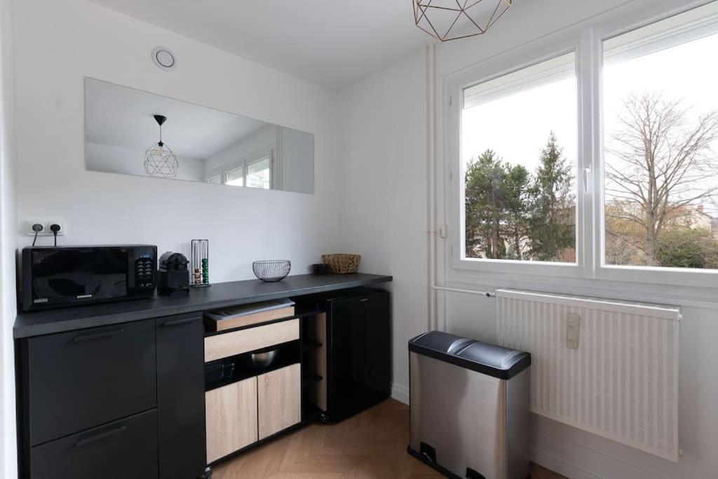 Cabana & Le Grand Appartement Lumineux Mâcon Kültér fotó